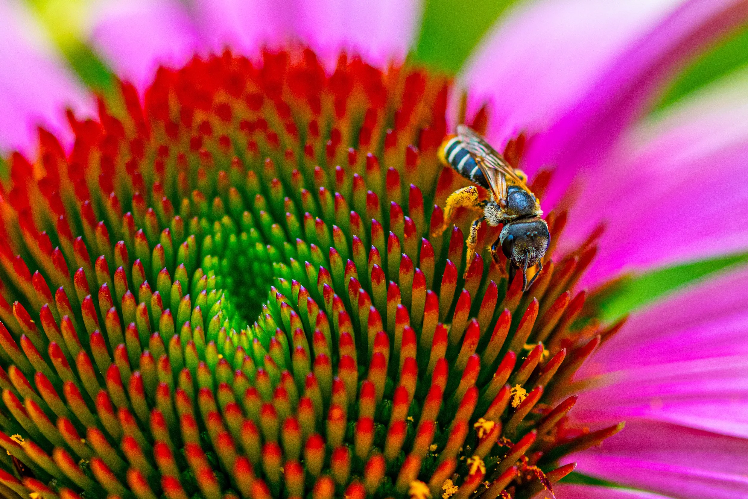 On a Flower