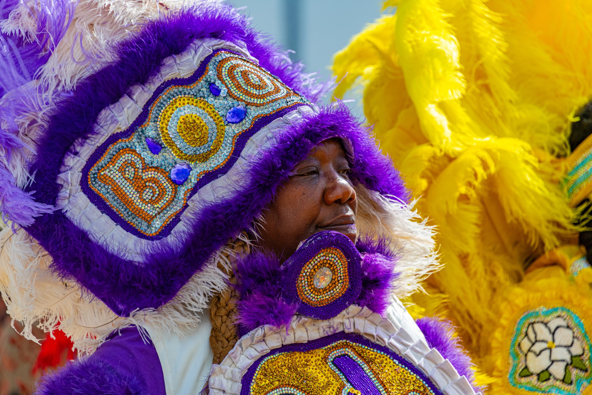 _DSC1541.jpg