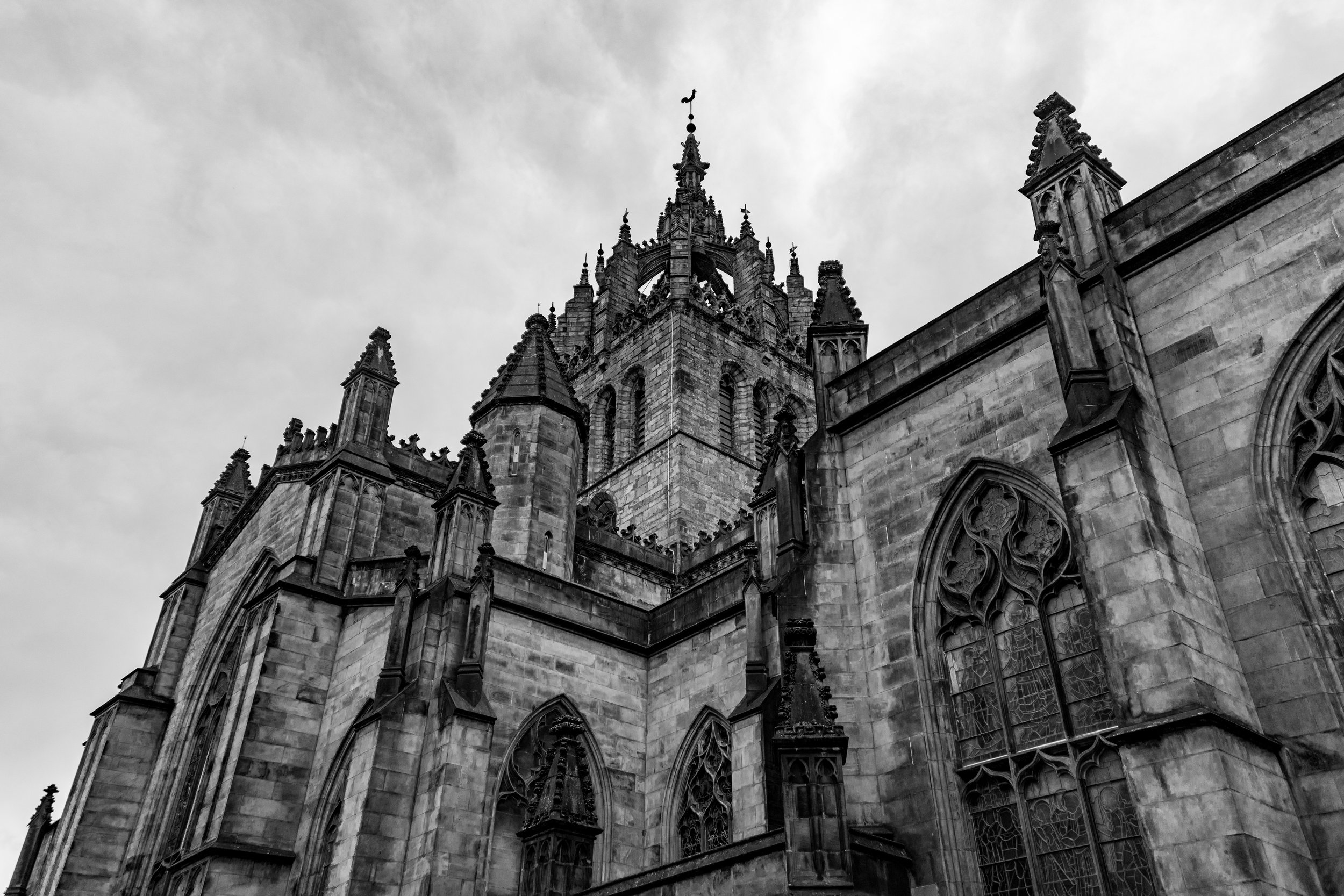 _DSC5579.jpg