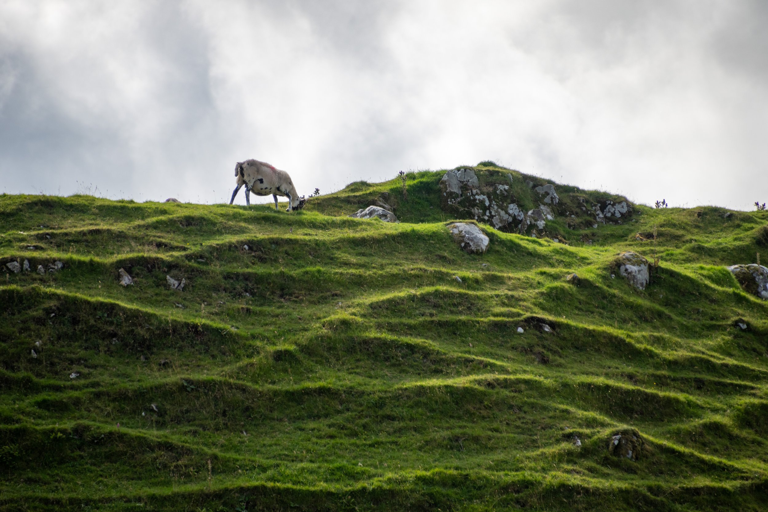 _DSC7059.jpg
