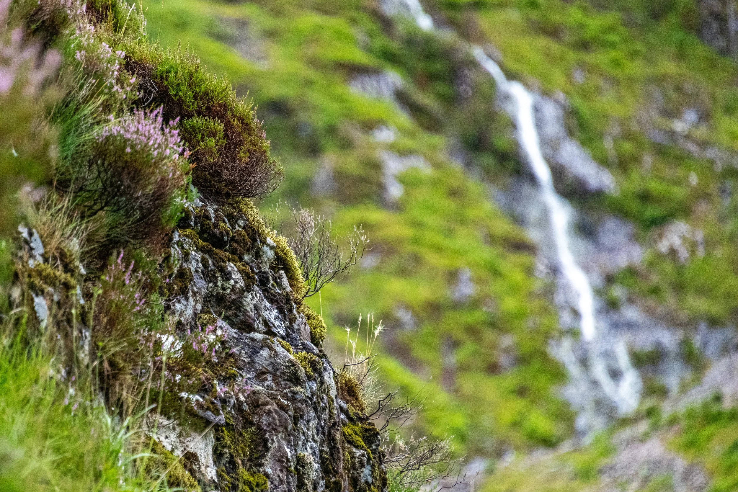 _DSC6674.jpg