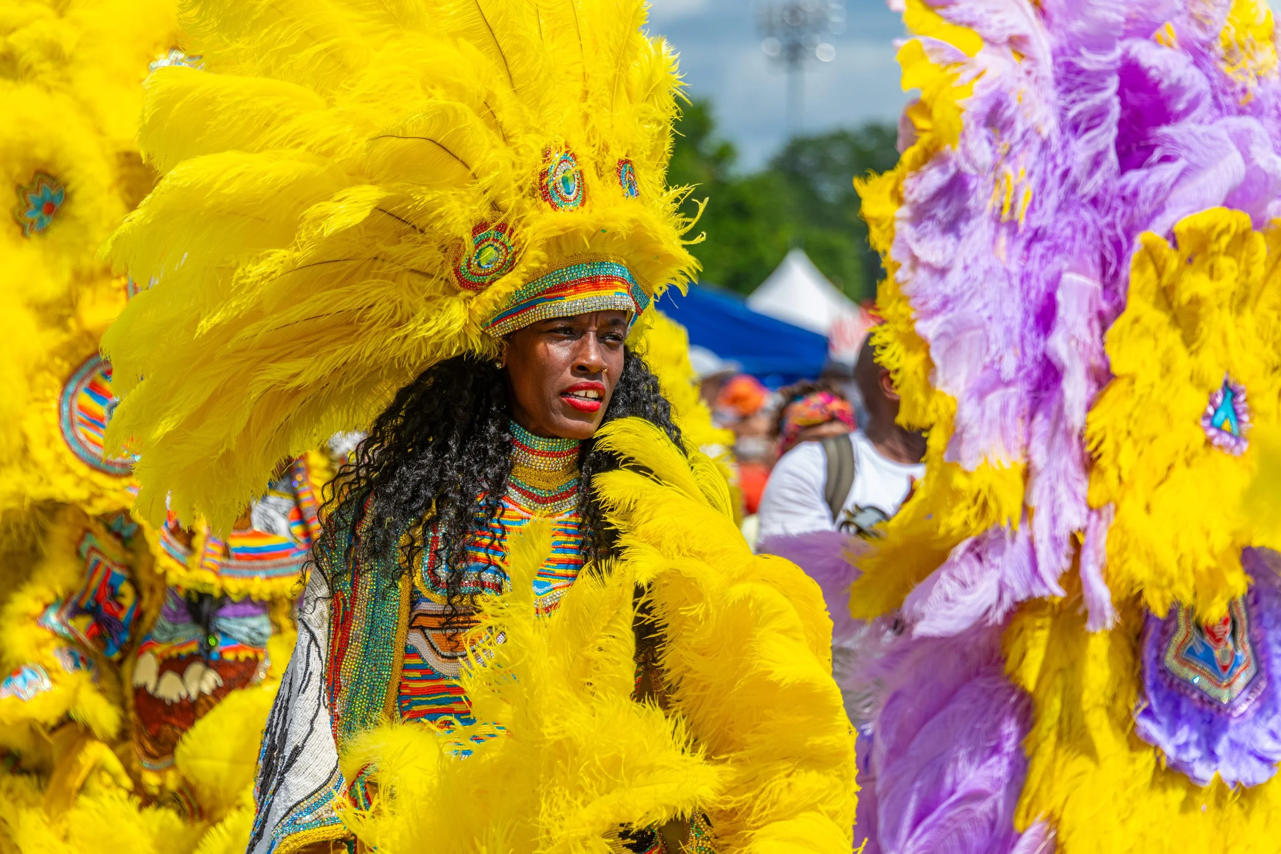 _DSC1384.jpg