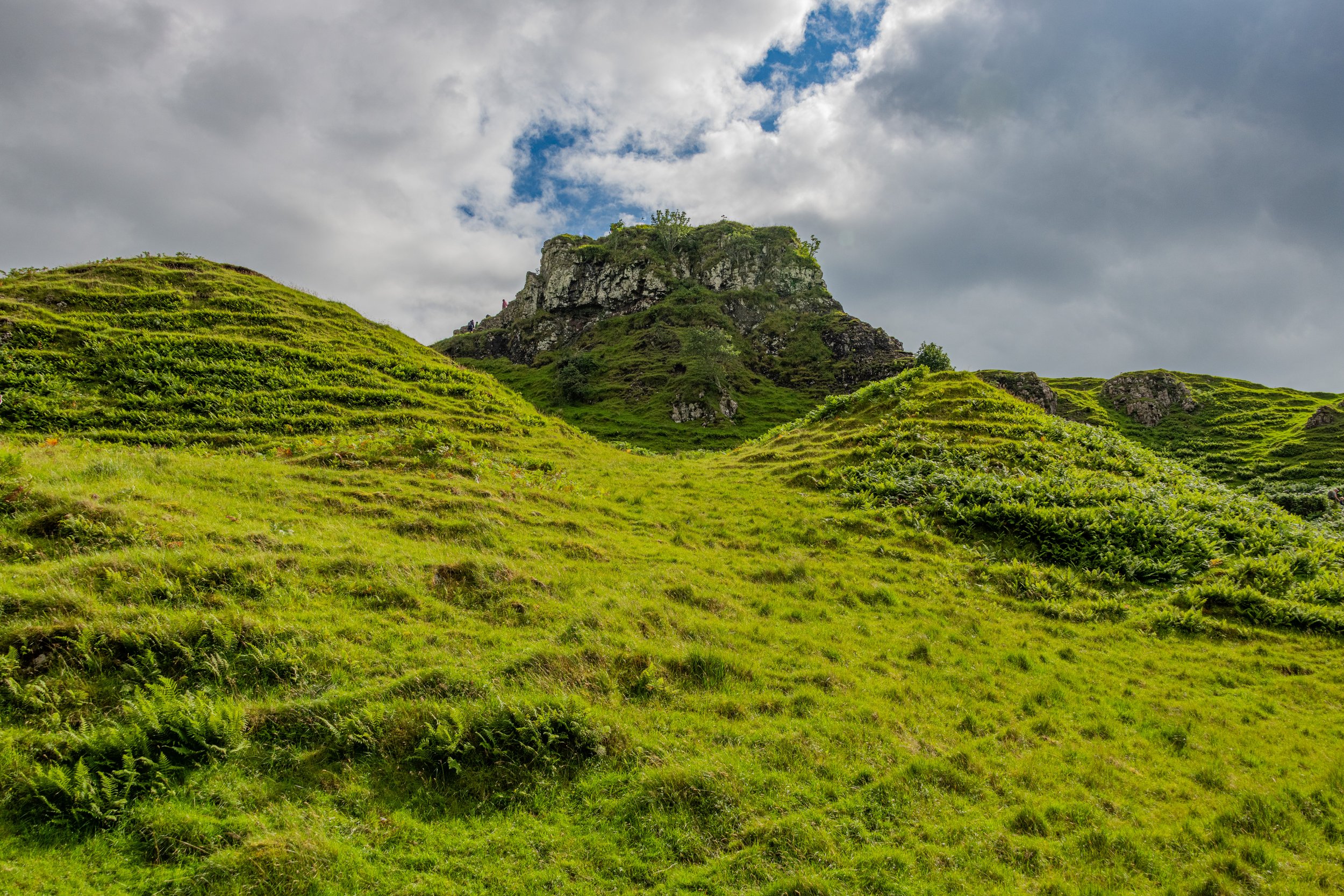 _DSC7000.jpg