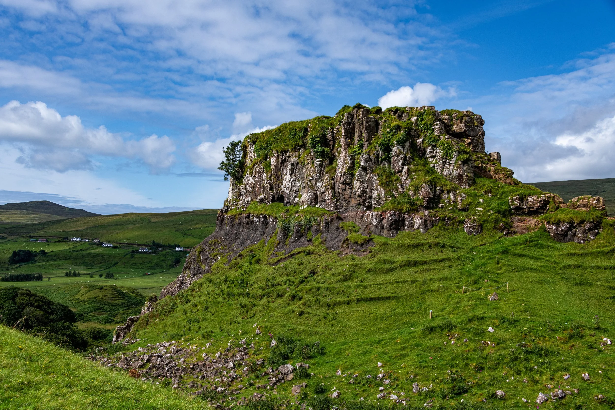 _DSC7025.jpg
