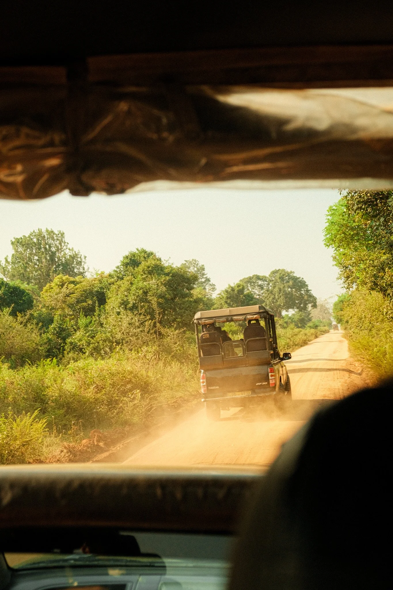 Blick aus einem Safari-Jeep in Sri Lanka – Travel-Content für Social Media für Reiseveranstalter und Destinationsmarken