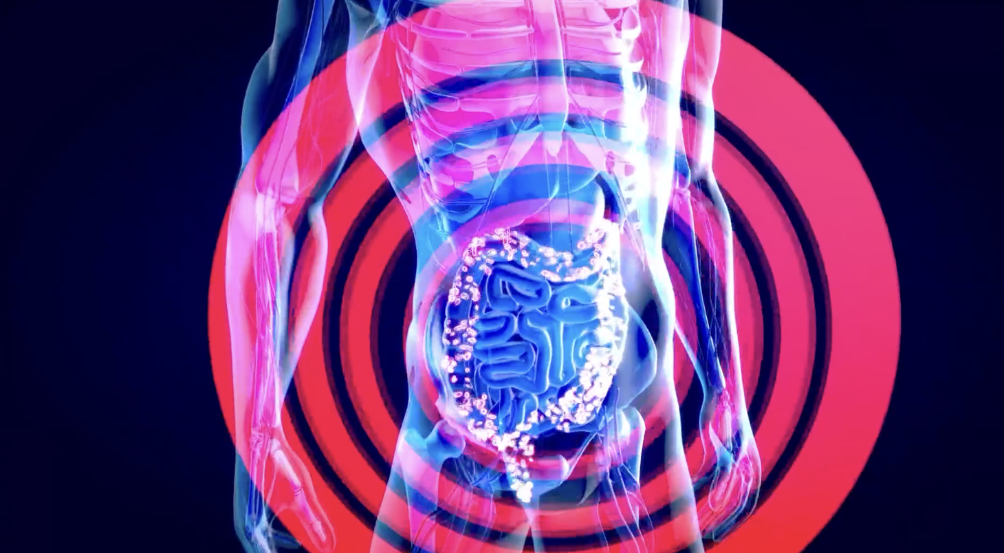 Hot temperatures can impact your gut microbiome