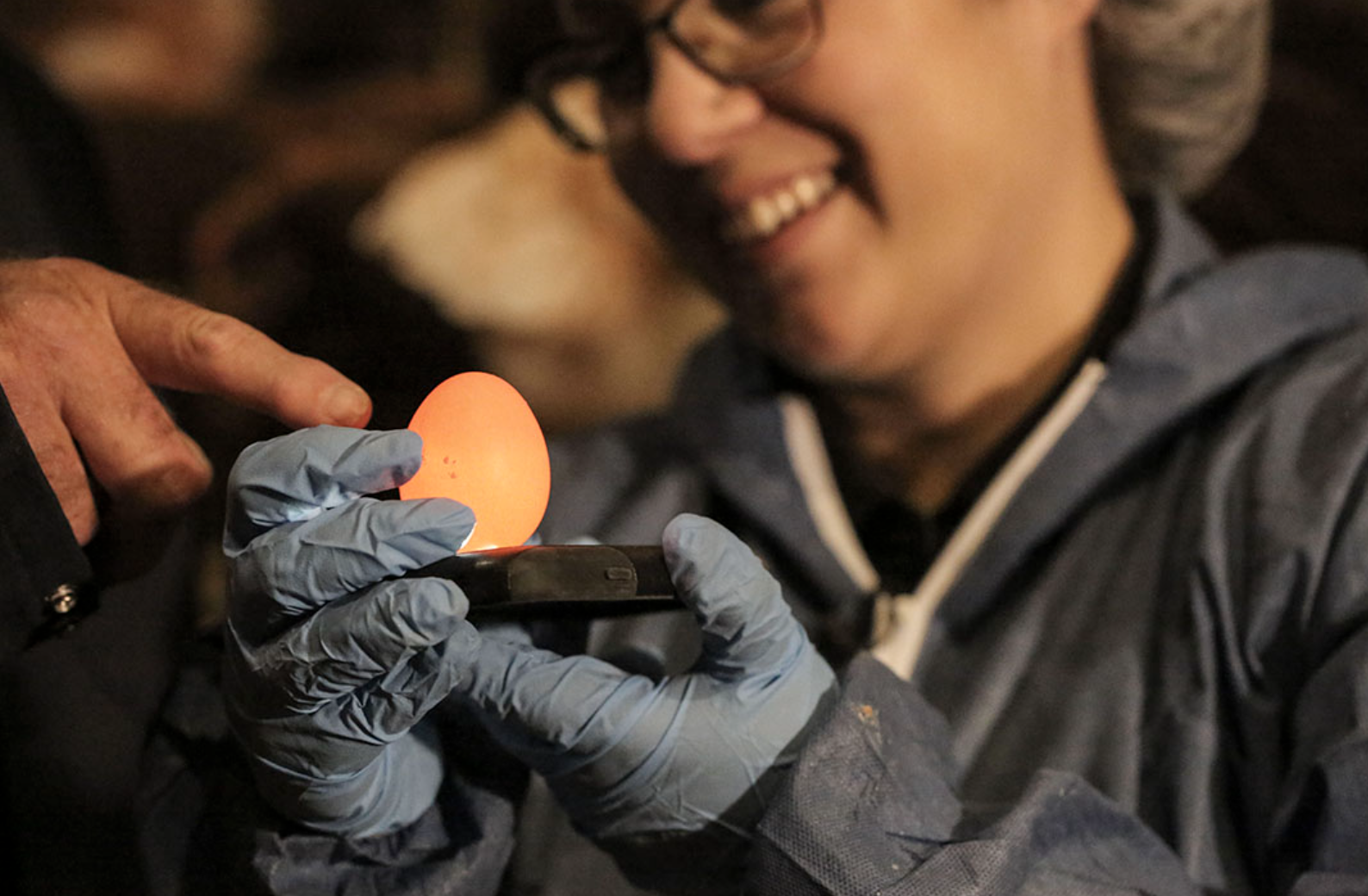 Optimal performance relies on good nutrition and gut health