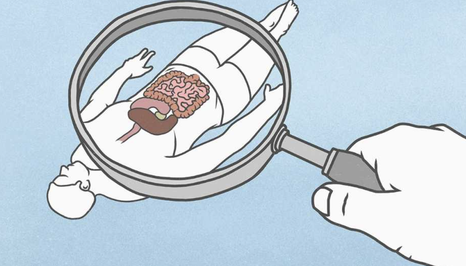 What Is Actually Good for Your Gut?