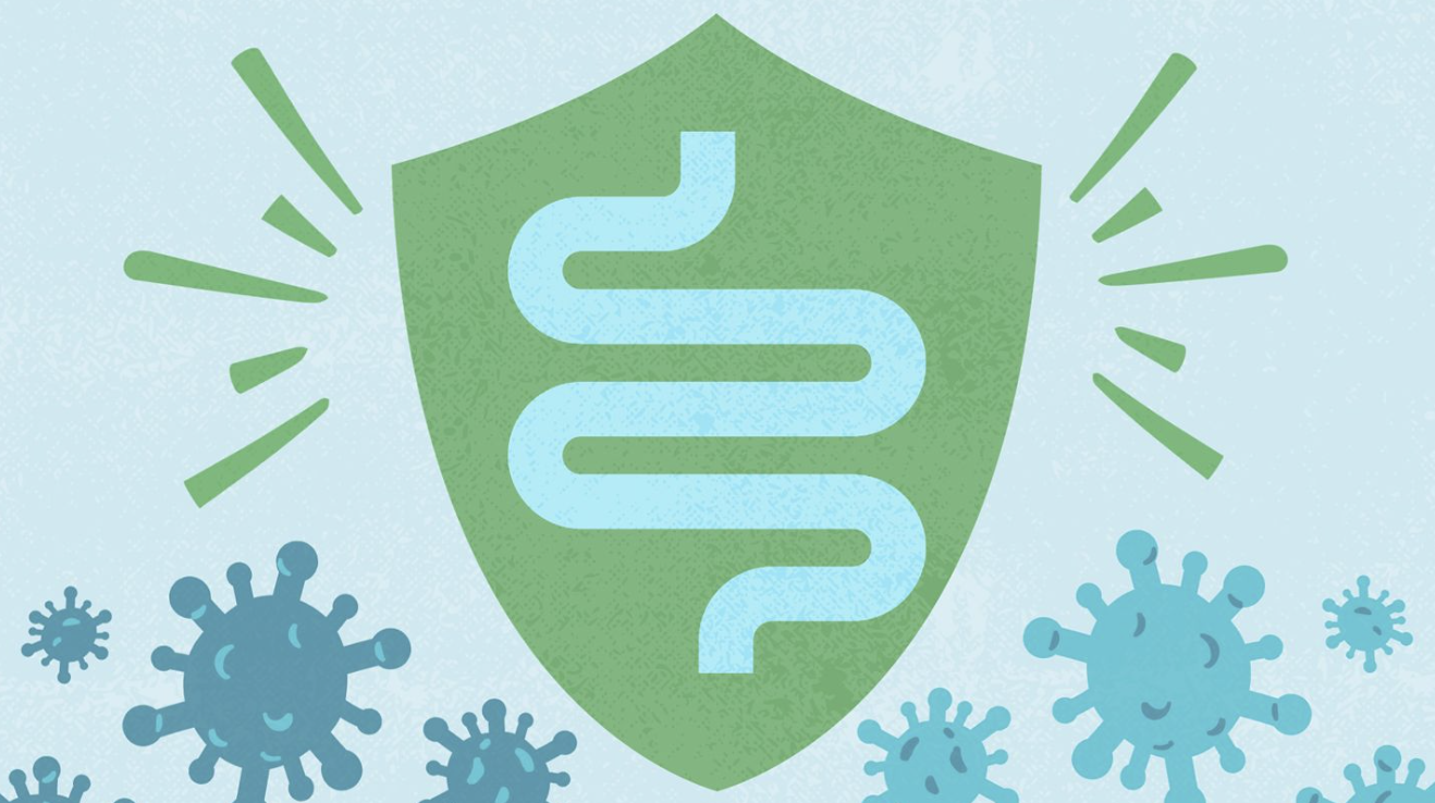 Gut Check: 5 Reasons Why Taking Care of Your Gut Can Help You This Flu Season