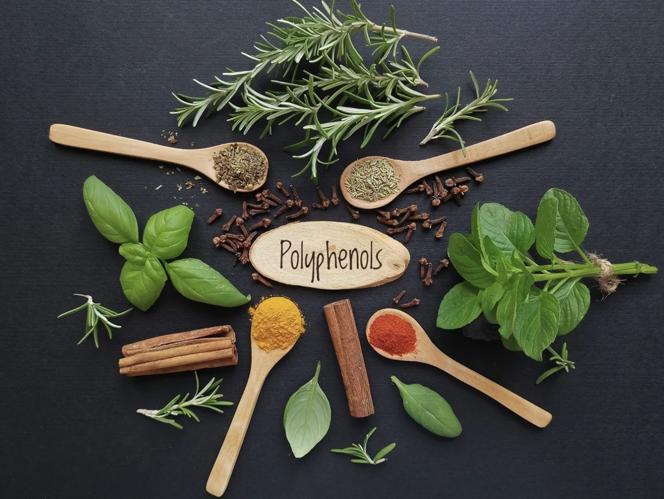 Spicing up health: How culinary herbs and spices may boost gut health through polyphenols