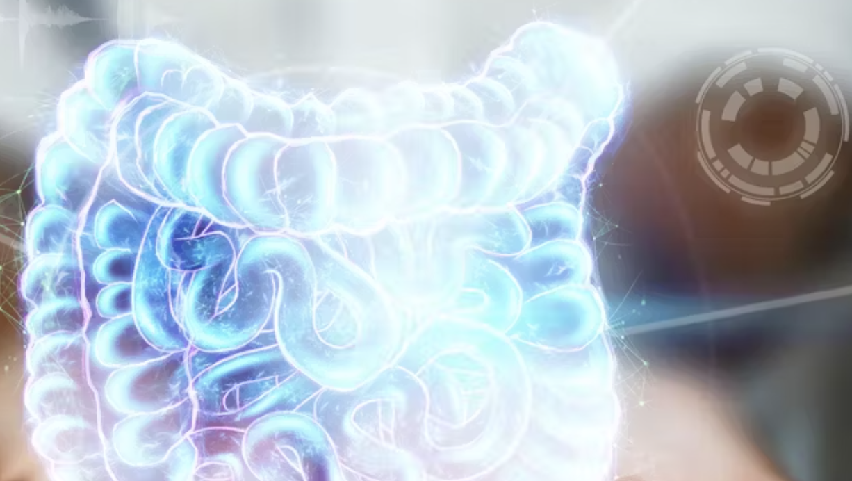 Gut bacteria and the immune system: How aging changes the microbiome and can lead to&nbsp;‘inflammaging’