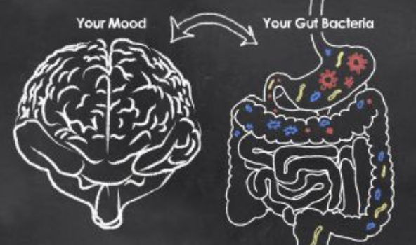 Depression, the Gut Microbiome, and Vitamins