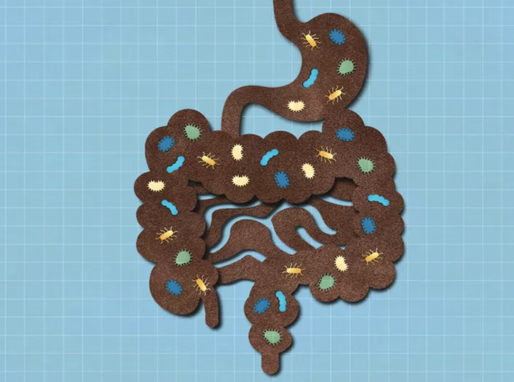 The #1 Snack for Better Gut Health, Recommended by a Gastroenterologist