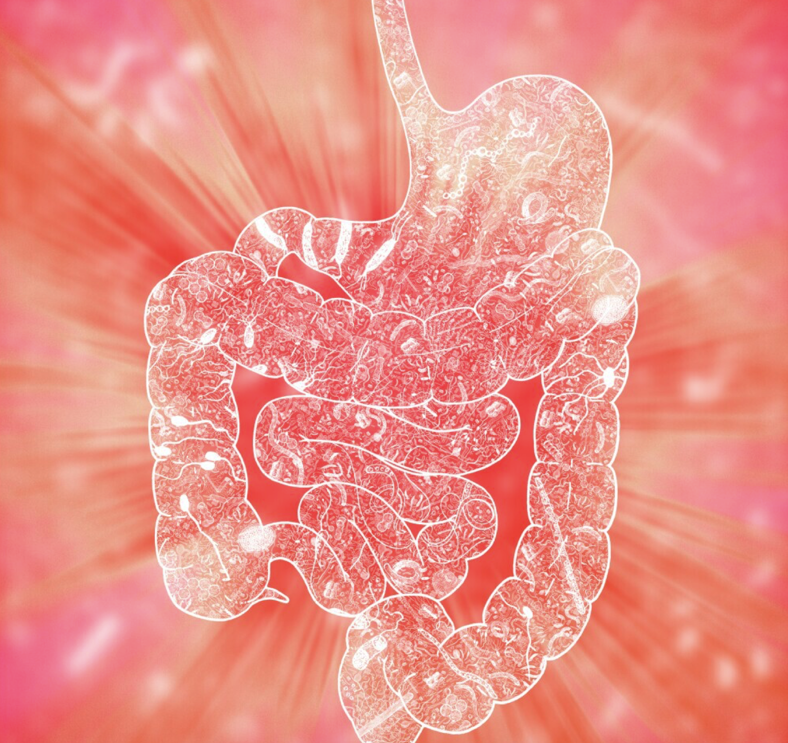 Your gut microbes may influence how you handle stress