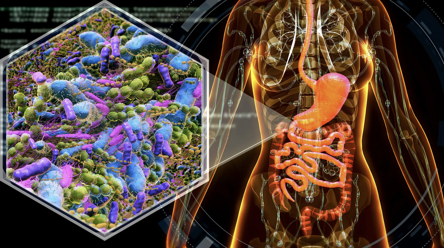 Mayo researchers develop tool that measures health of a person’s gut microbiome