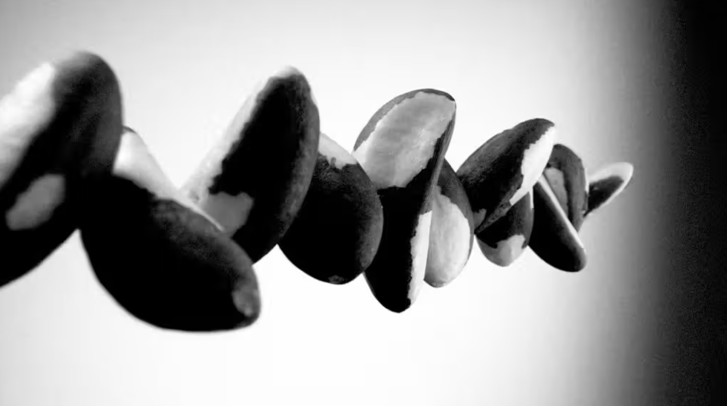 Eating Brazil nuts daily may reduce inflammation, improve gut healthShare on Pinterest