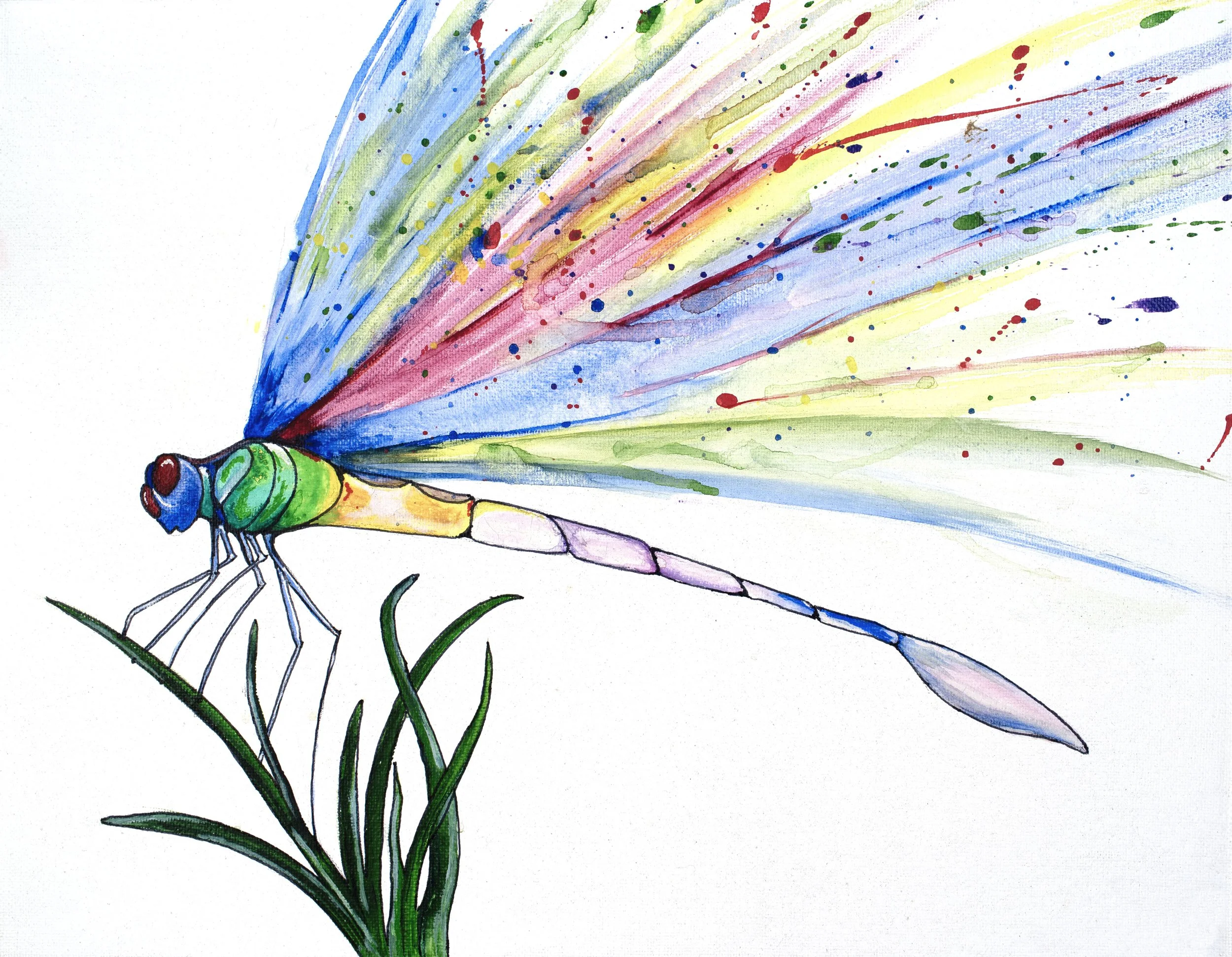 Dragonfly Dreams Fine Art Print