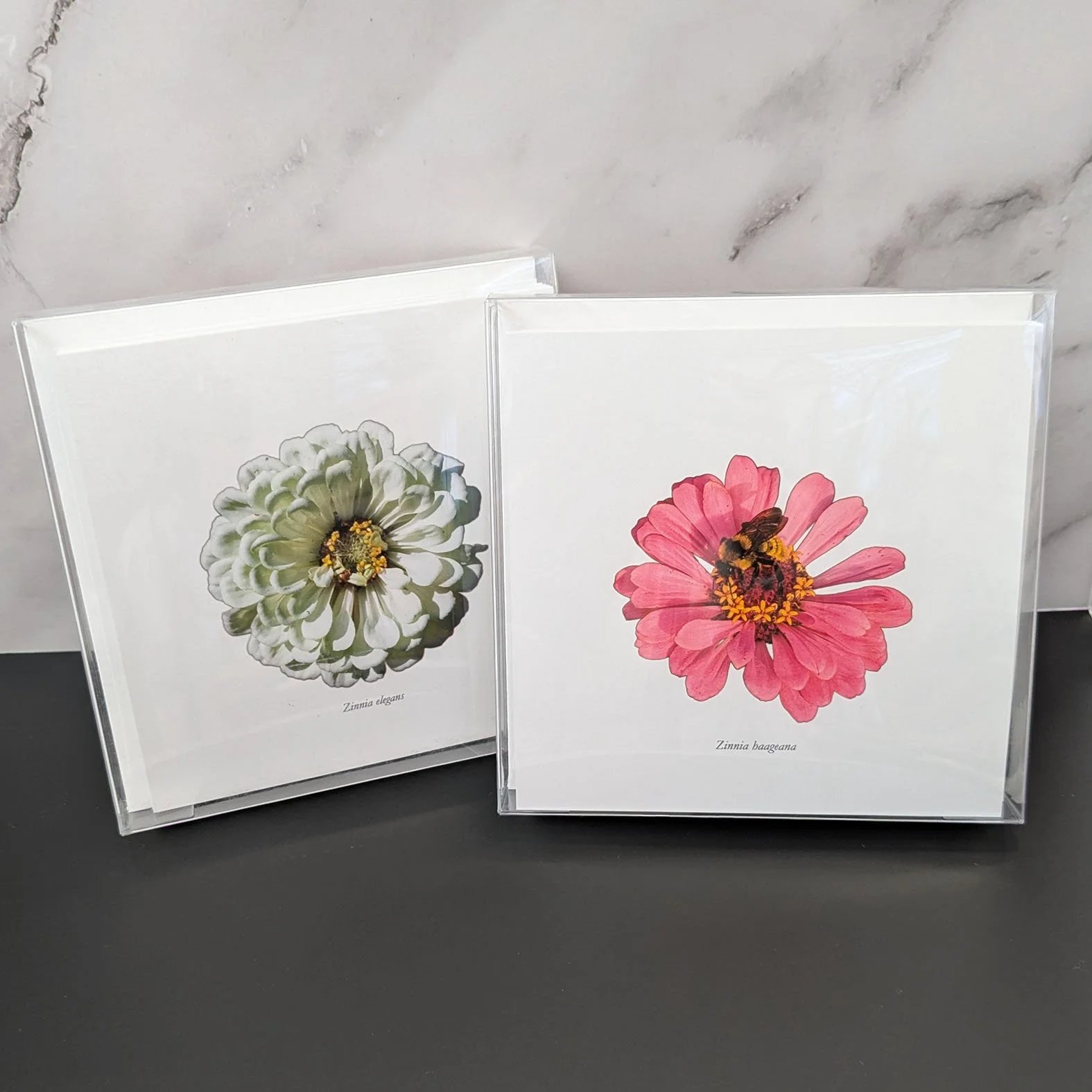 zinnia cards 2 new.jpg