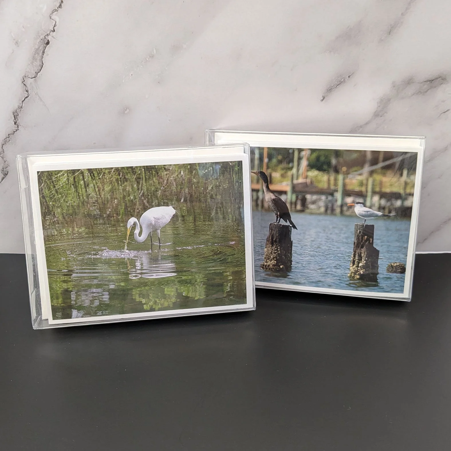 Virginia Coastal Birds Note Cards