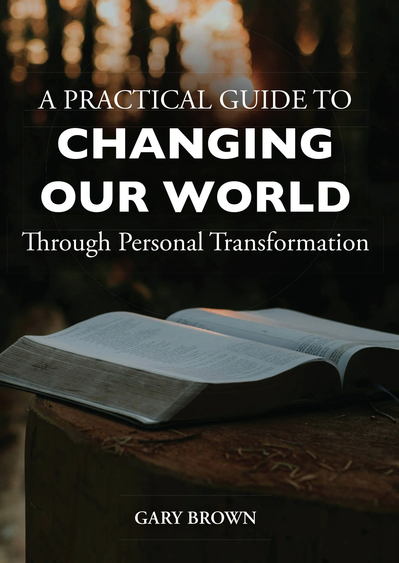 Practical Guide to Changing Our World book cover