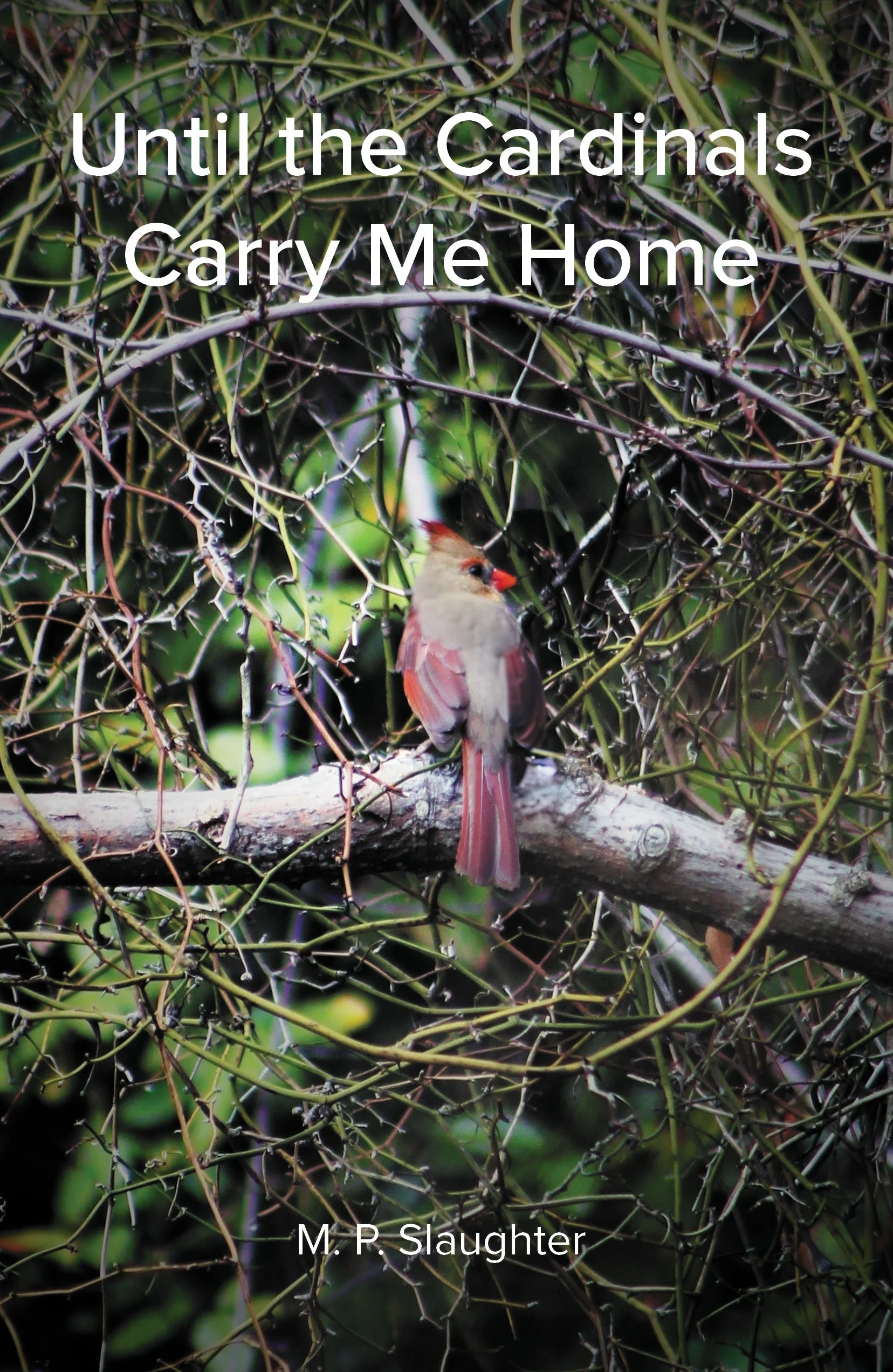 Until the Cardinals Carry Me Home