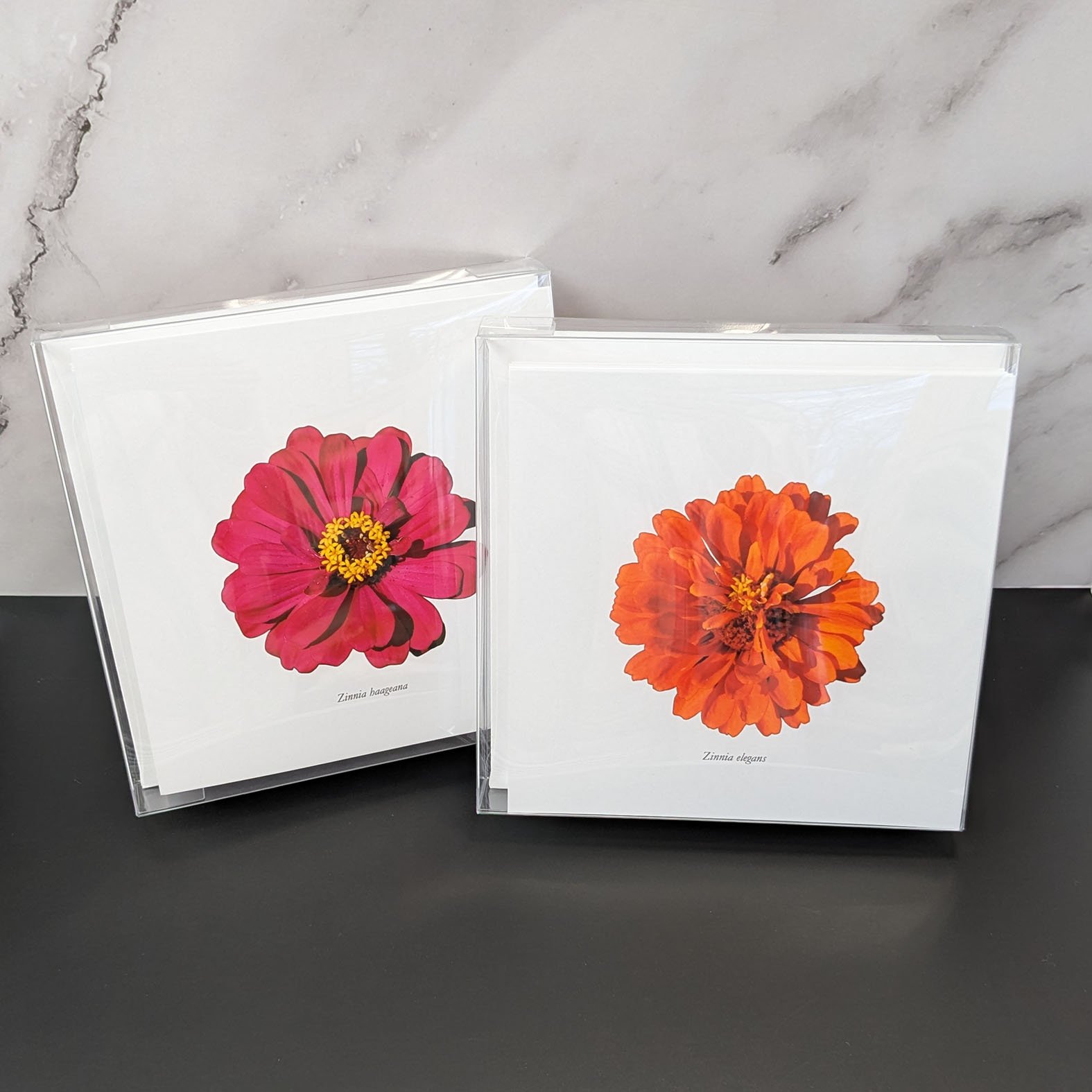 zinnia cards 3 new.jpg