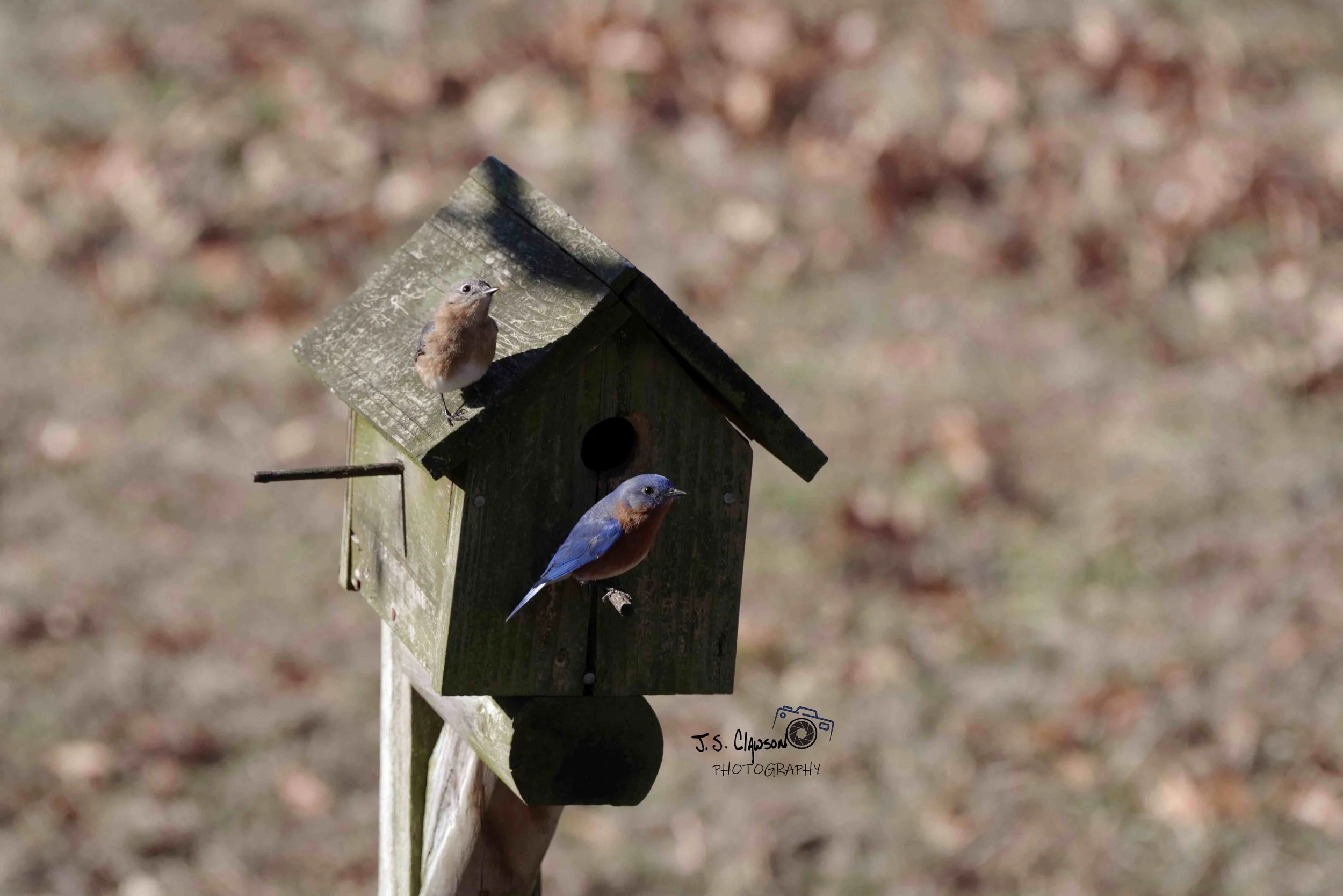 Spring is around the corner