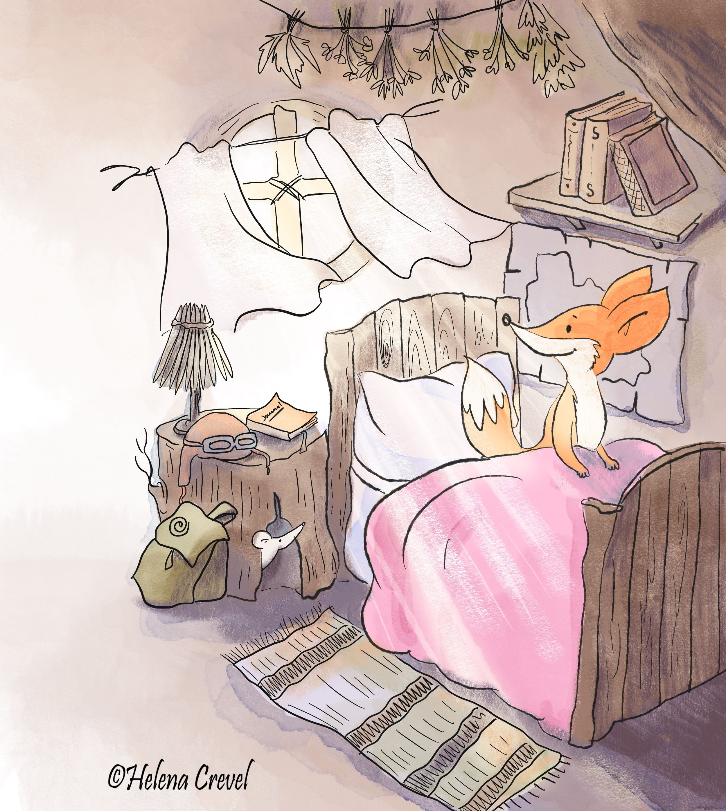 children's book illustration of a fox waking up to sunshine coming in his bedroom window
