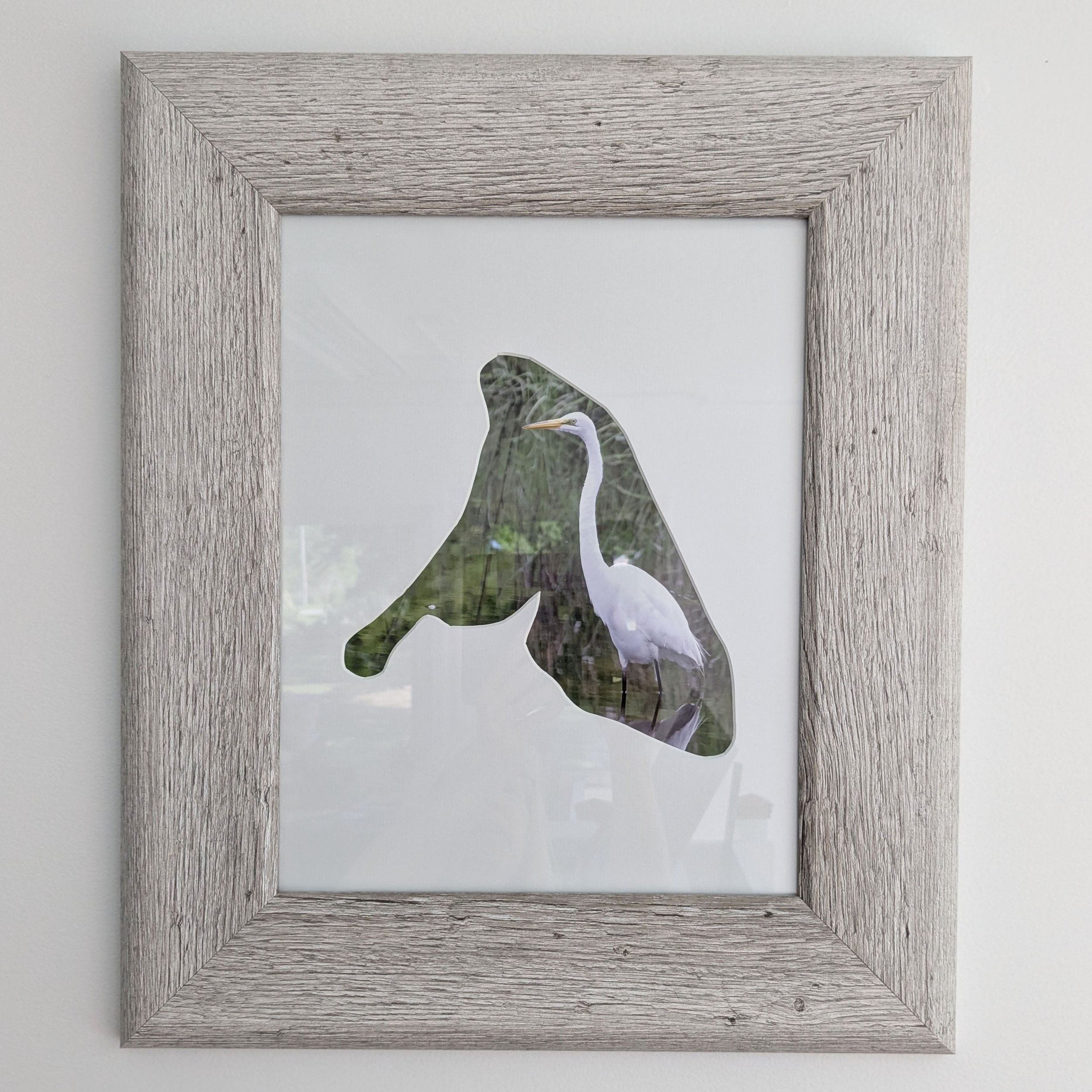 "Island Wader" Photographic Print