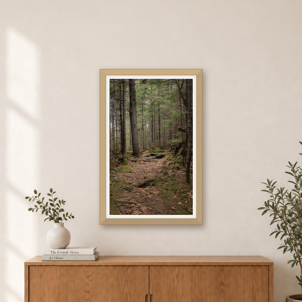 "Forest Path" Photographic Print, J. S. Clawson