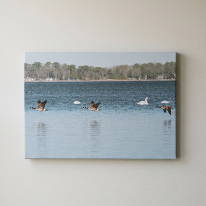 "Muted Flyby" Photographic Print, J. S. Clawson