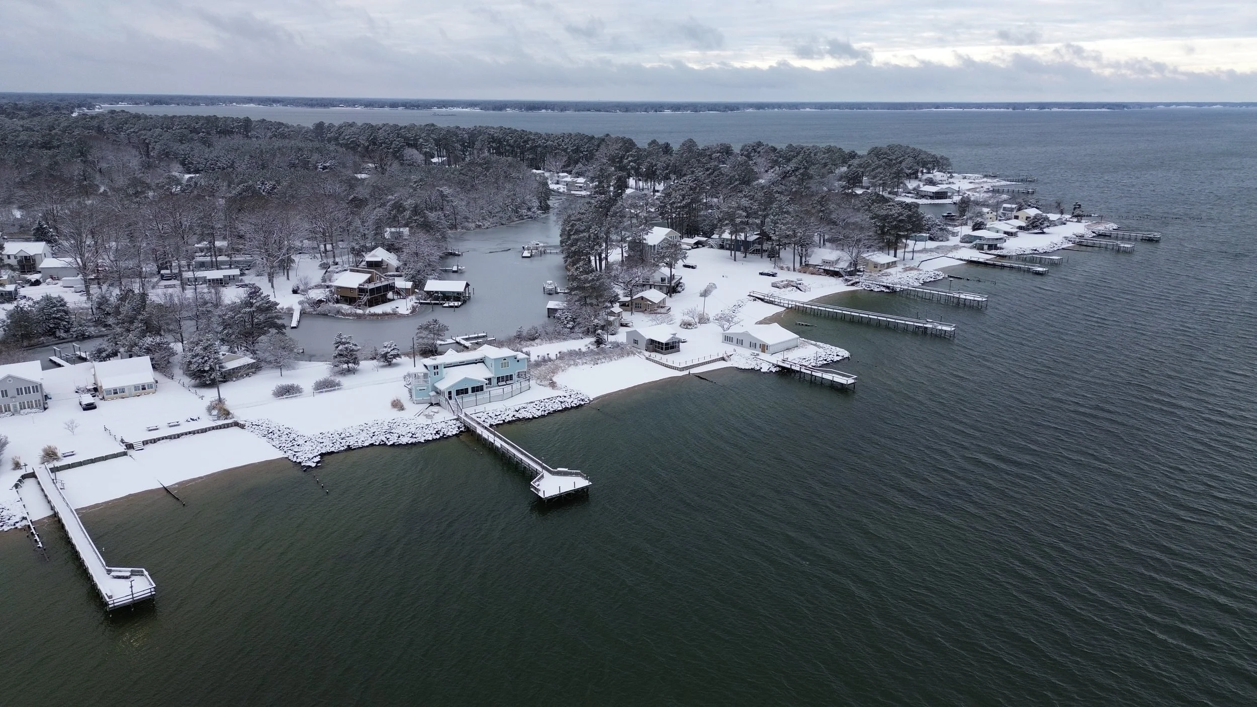 Let’s hop into the holiday season …