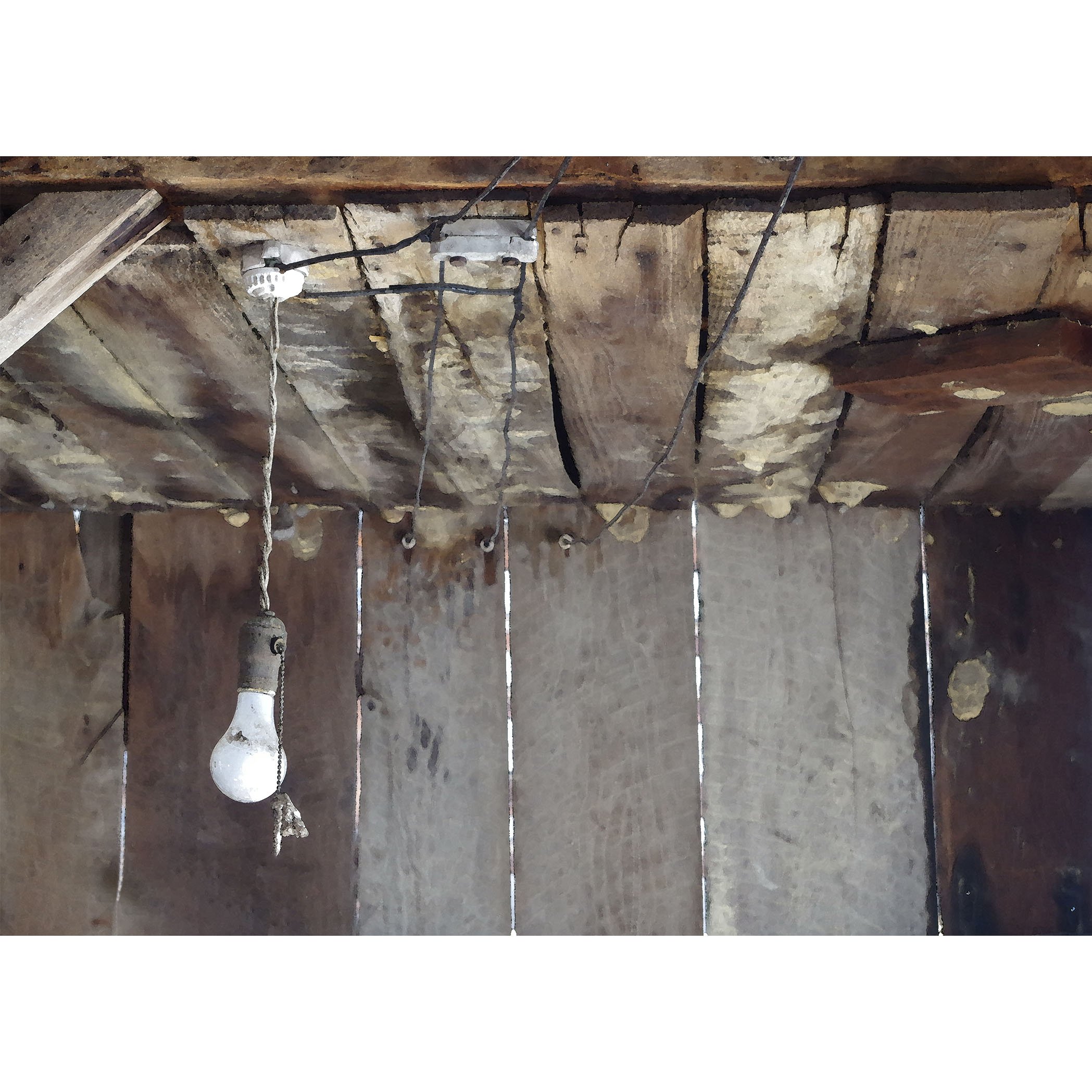 _IGP9614_watercolor_5x7crop_web.jpg