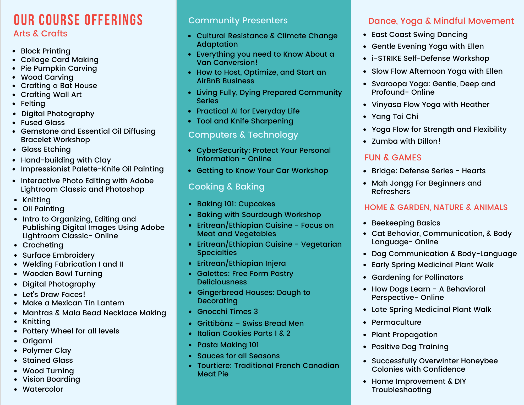 ACCESS Brochure (1).png