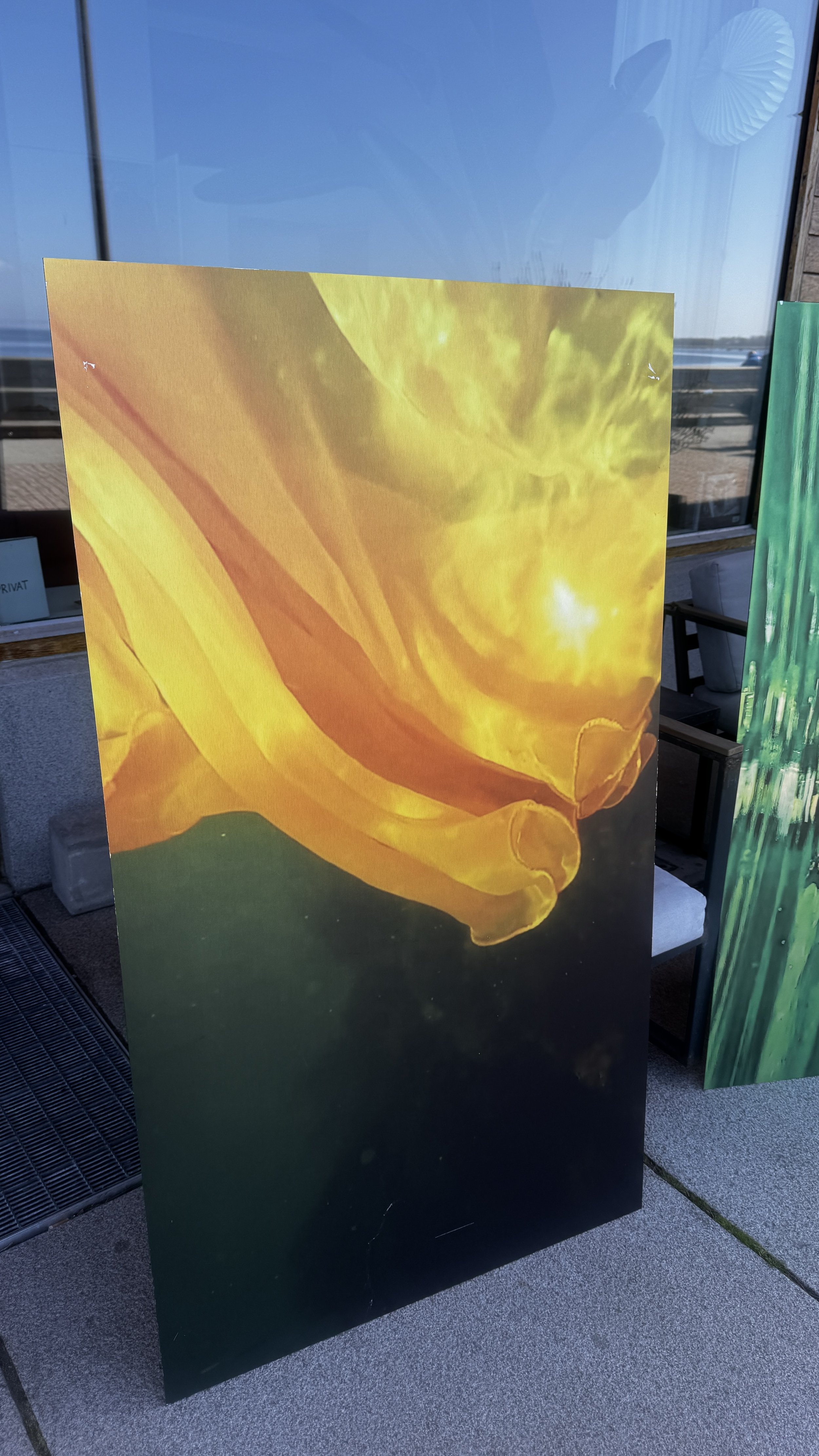 IMG_7949.jpeg