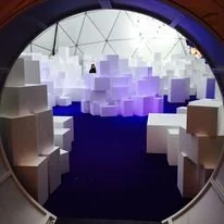 12314646_10153746821253221_5193922287172252625_o.jpeg
