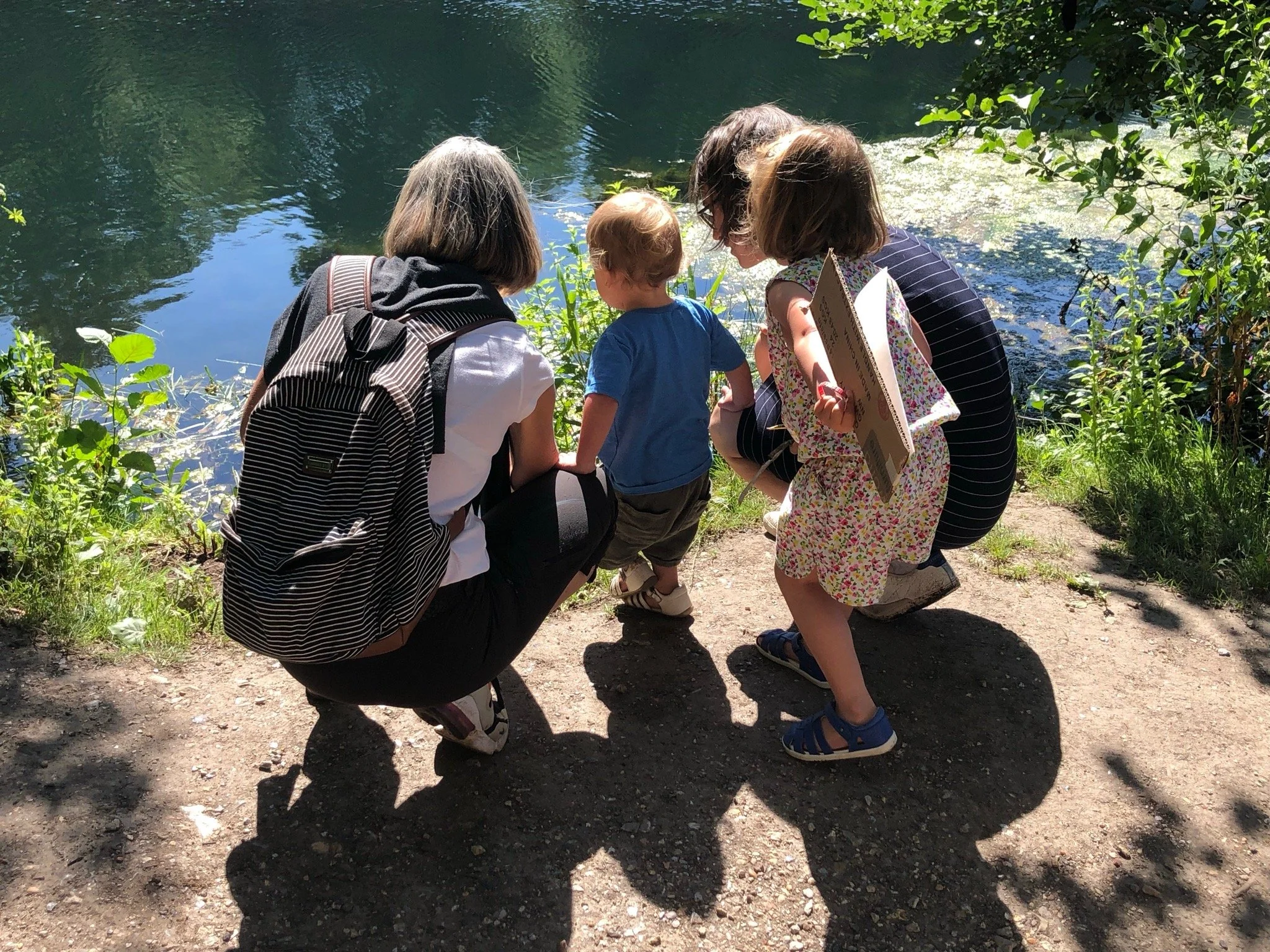 Spotting wildlife