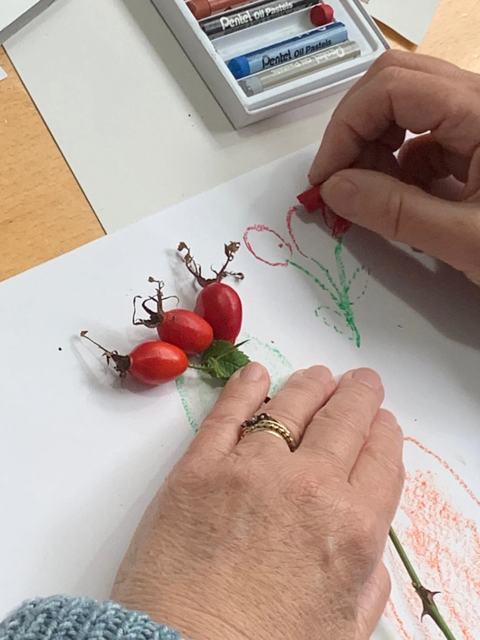 Winter plant-inspired drawings