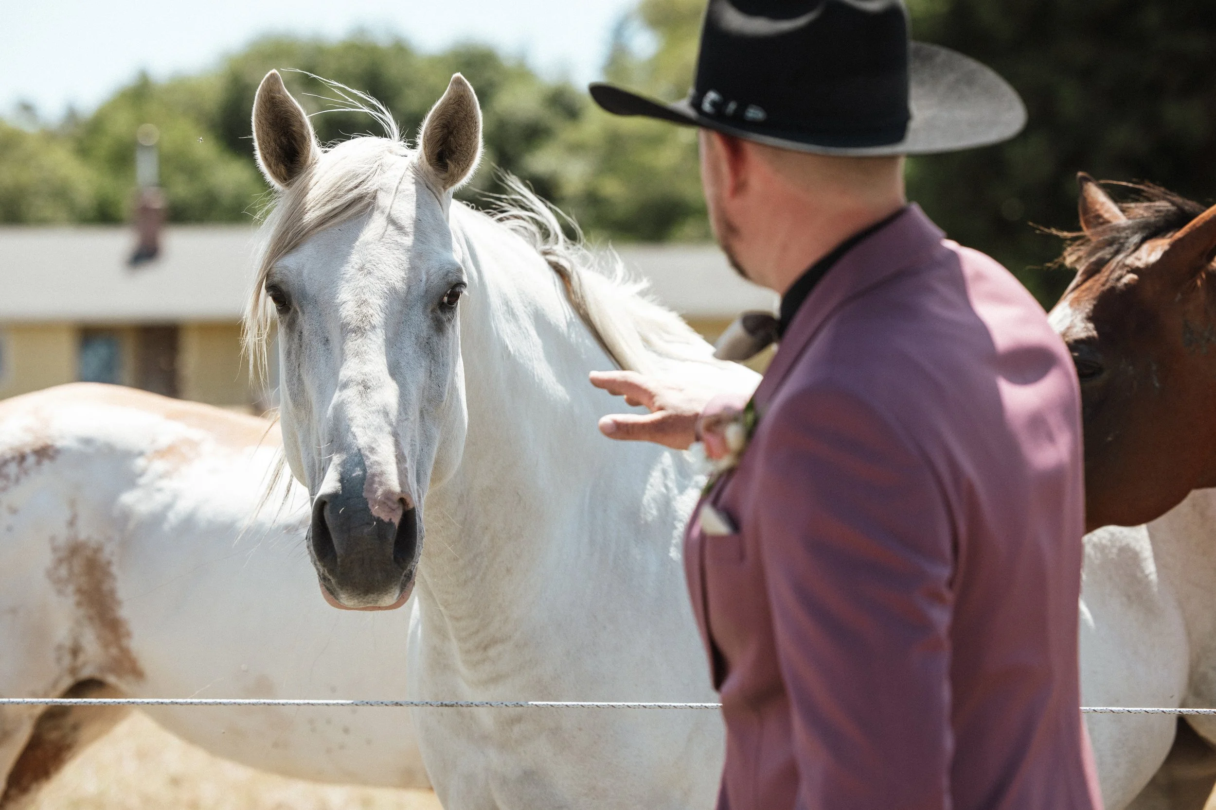 Groom with white horse black cowboy hat country wedding