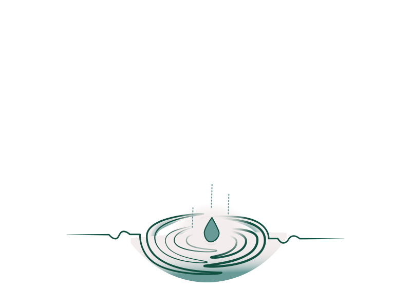 essentie@2x.png