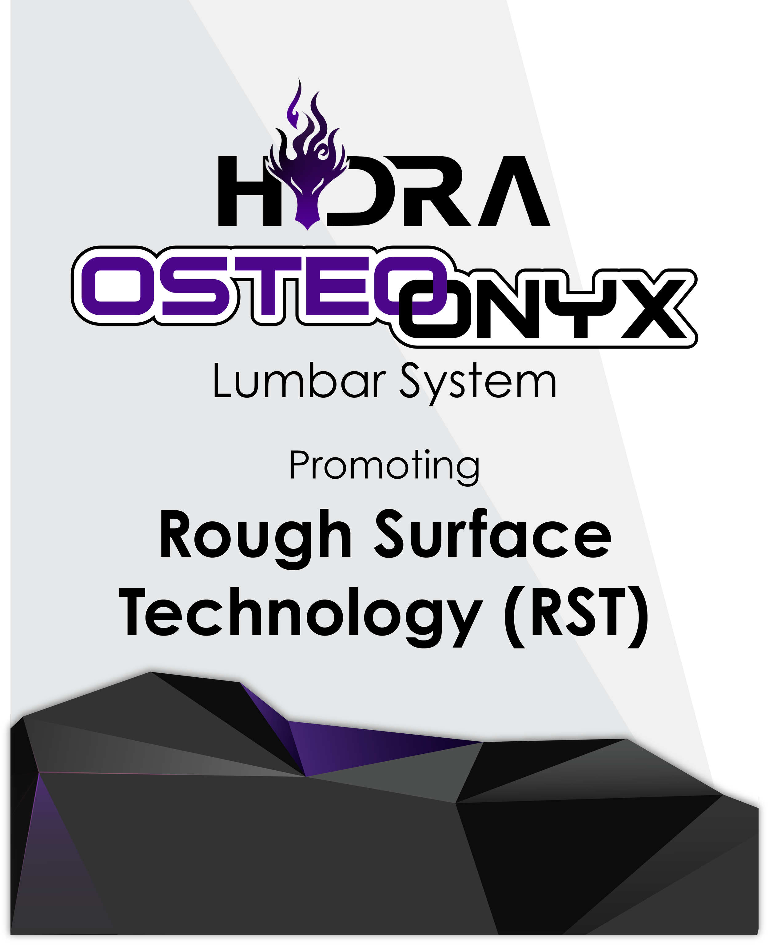 Promotional graphic for HORAA OsteoOnyx Lumbar System promoting rough surface technology.