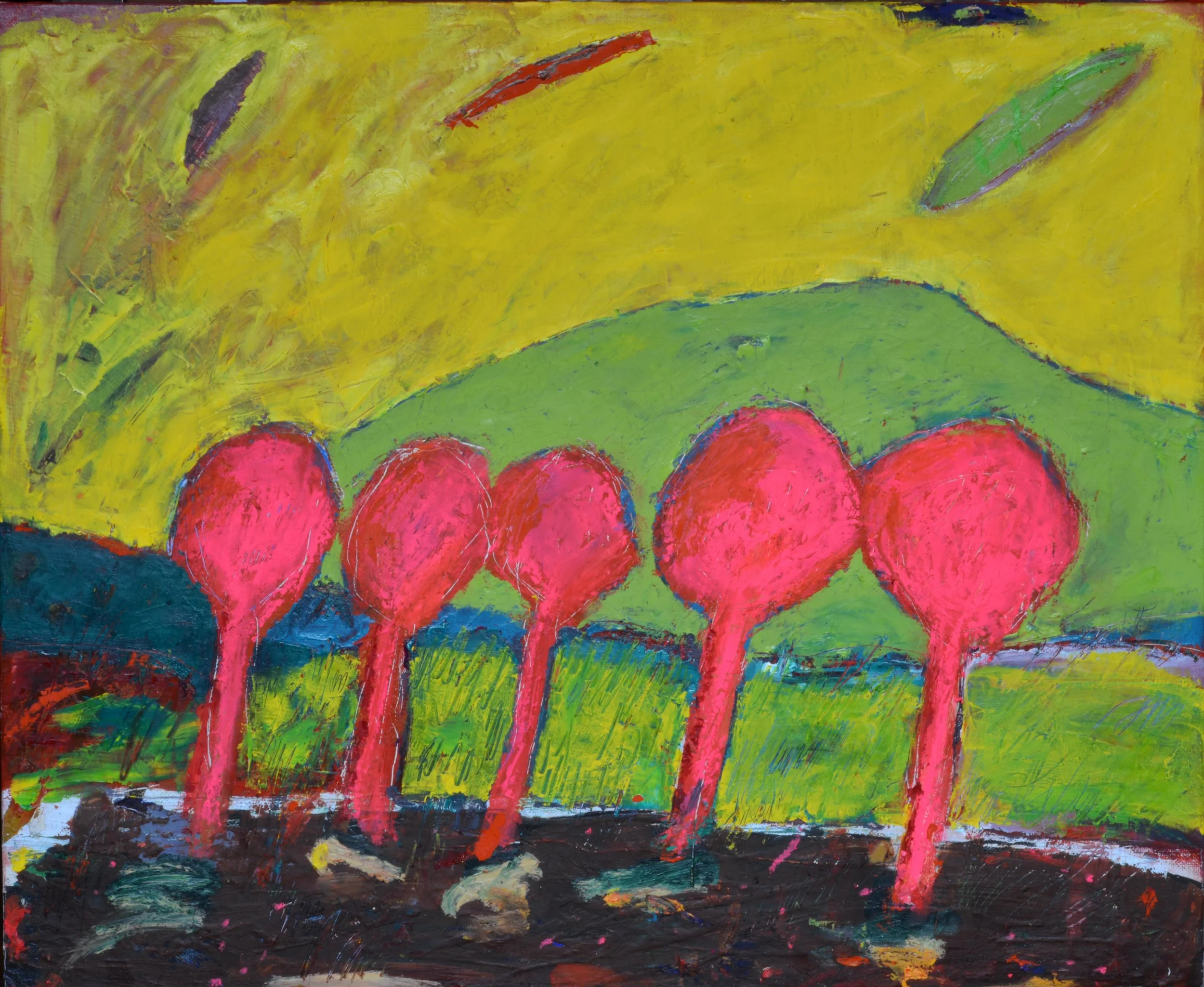 5 ROSAMORADAS
óleo/lino 50x61 cm
2016
no disponible