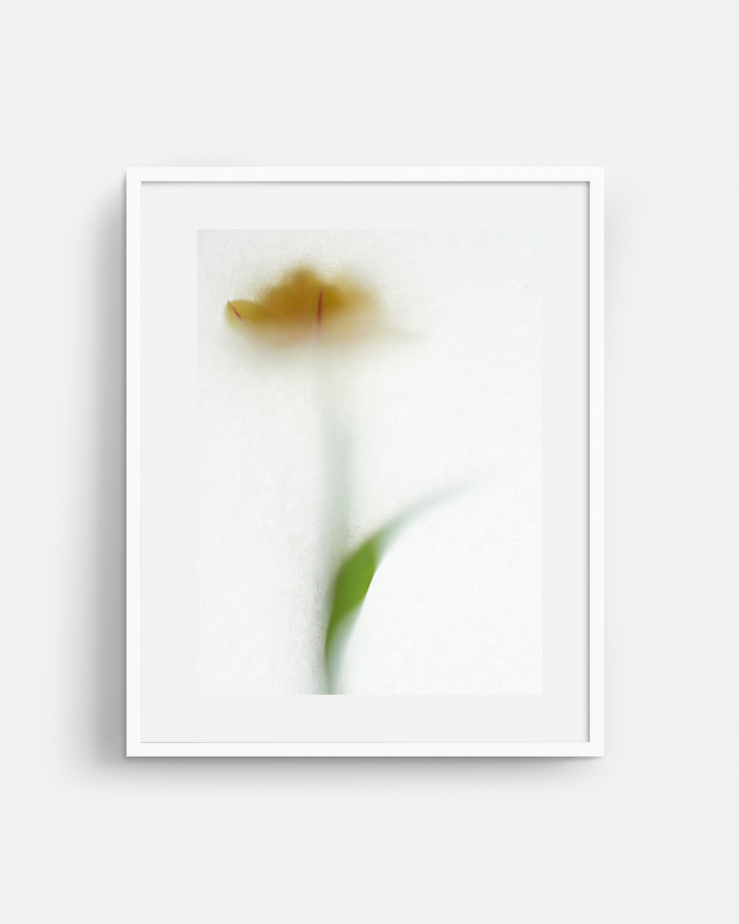 Impression