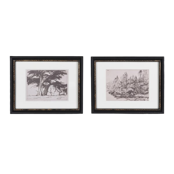 Set of 2 Cedar and Stream Framed Pictures £60