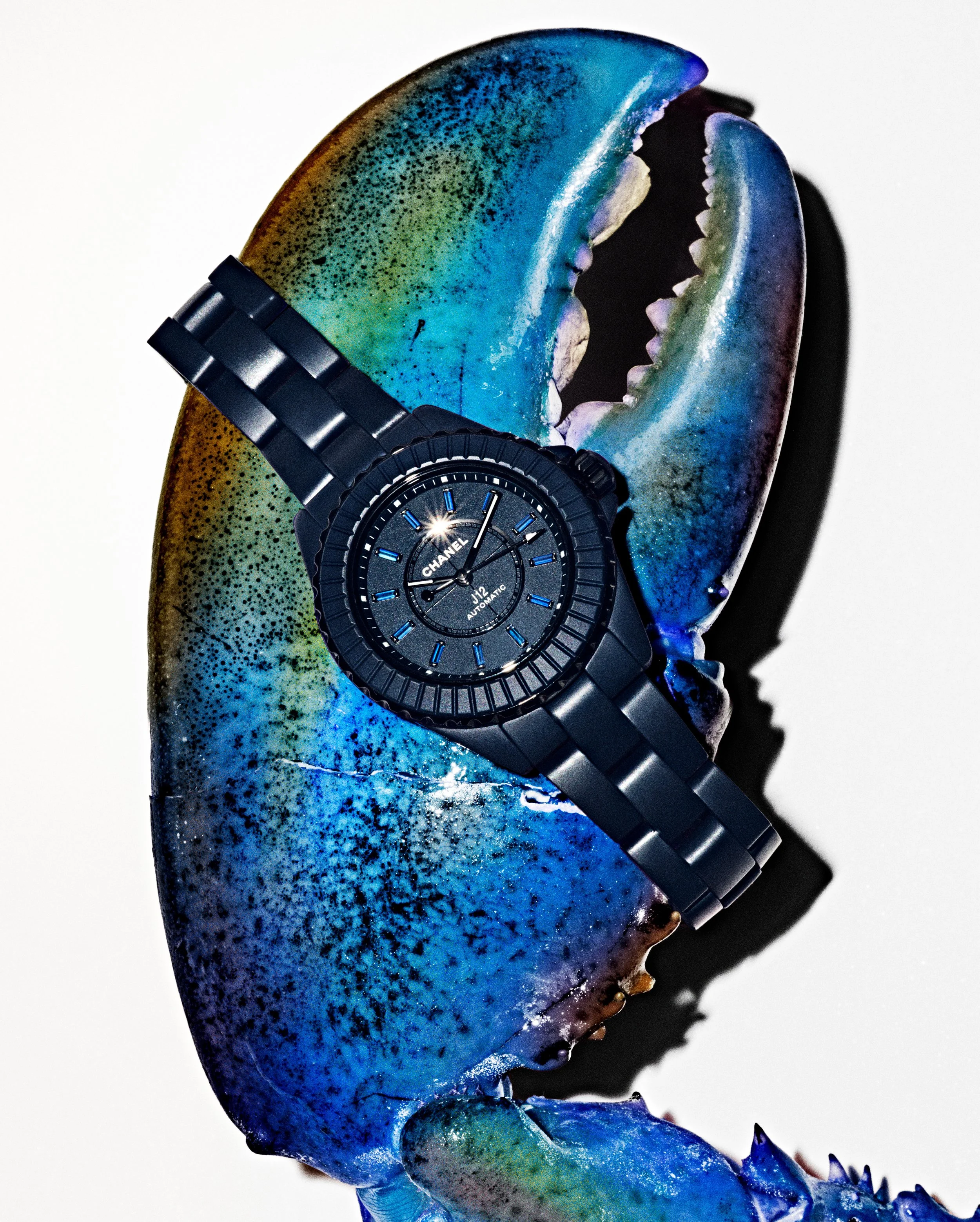 25-03 3119-02B BBY_ELL WATCH.JPG