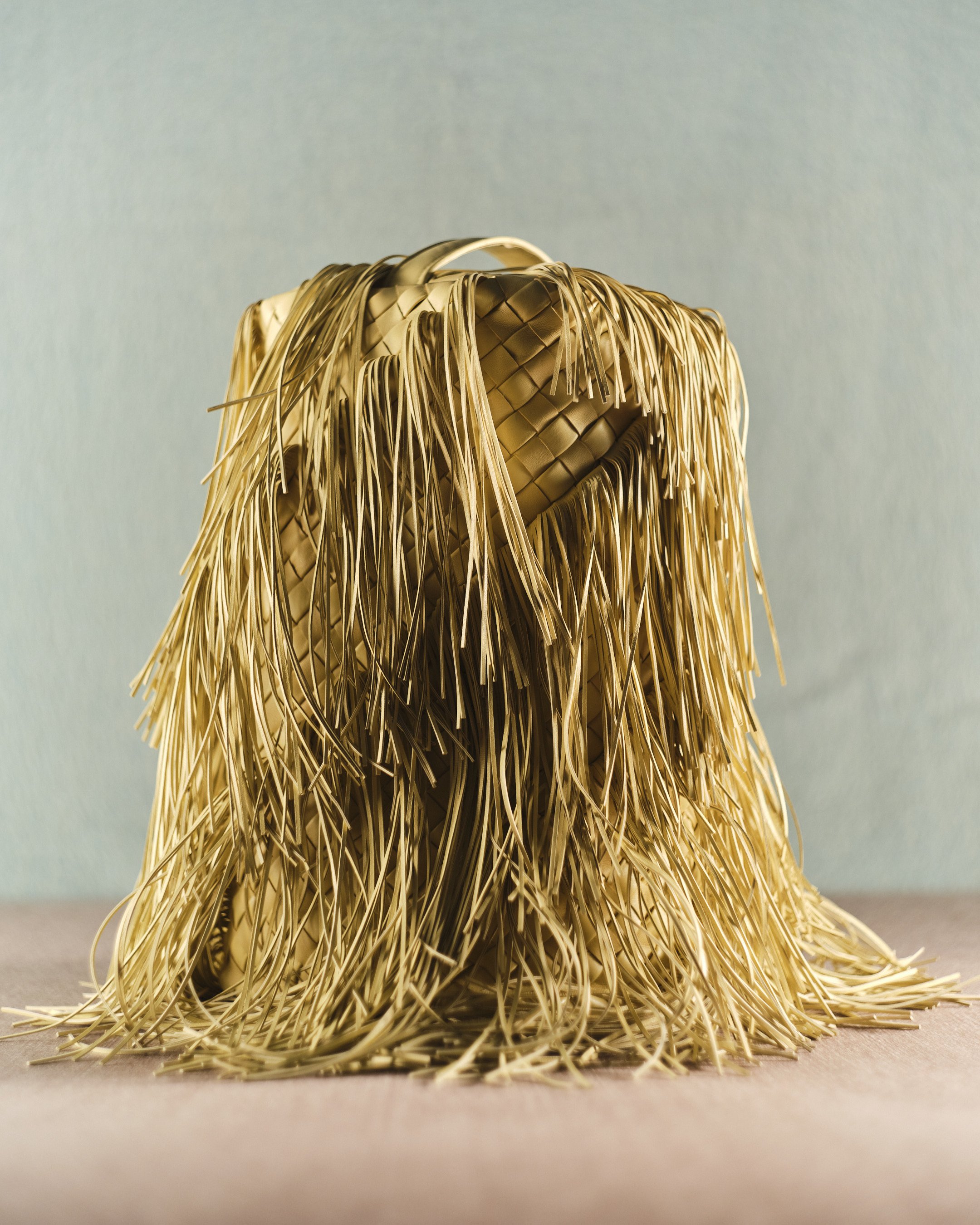 01_BOTTEGA_BAG_251112_ELLE_044 2.JPG