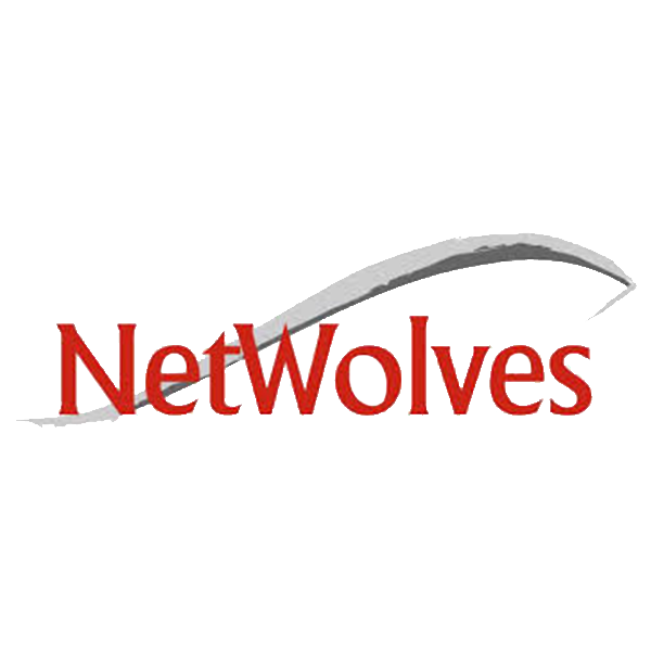 NetWolves logo no background.png