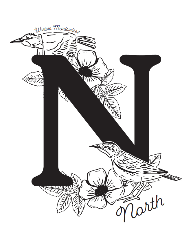 Screenshot 2025-12-18 194947.png