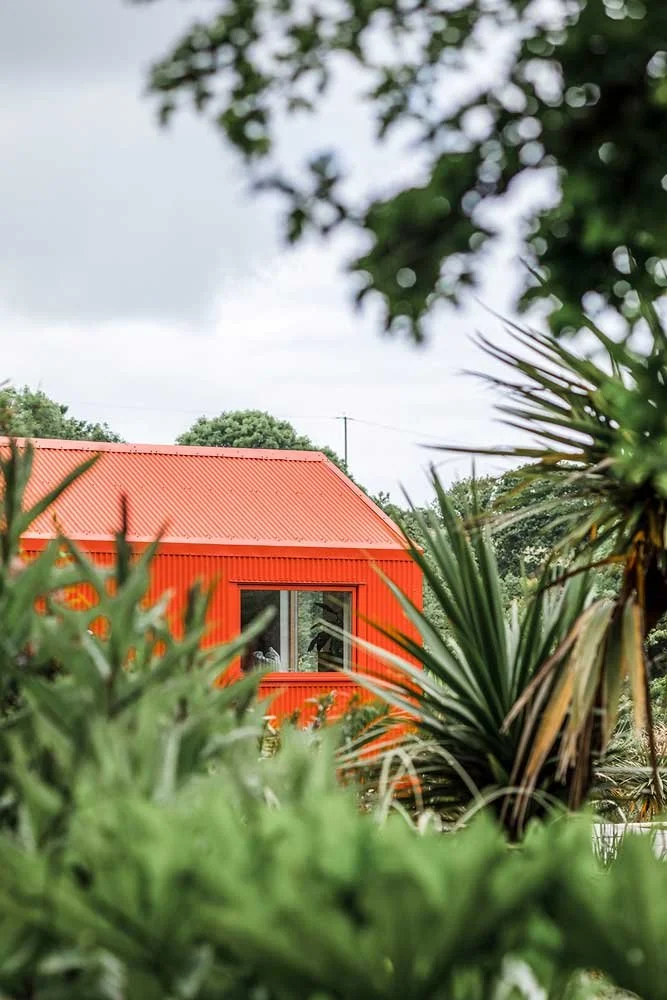 Exterior view by Coal Cornwall looking through lush tropical garden foliage toward a contemporary orange corrugated-clad barn extension with timber-framed windows.