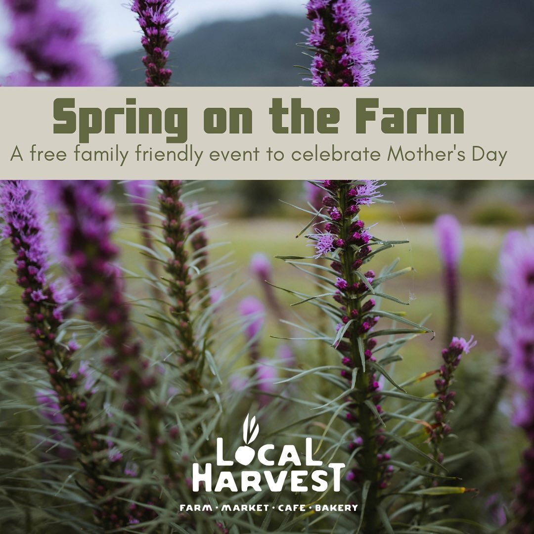Join us this Saturday, May 13 at our SPRING ON THE FARM event.

10 am &ndash; 3 pm

We&rsquo;ll have free barrel train rides and farm tours with Farmer Dan. Learn about how you can become a vital player in building a food-secure community. See how we
